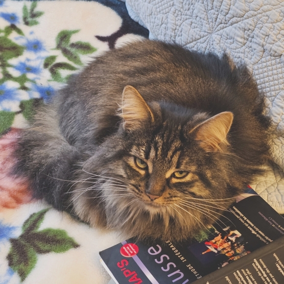 Meet the Posher! - Picture 2 of 4